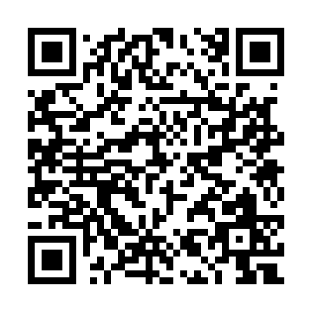 QR code for DL313