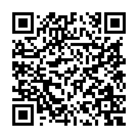 QR code for DL383