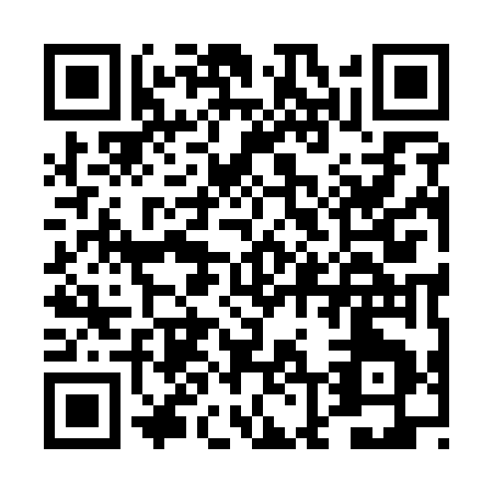 QR code for DL917