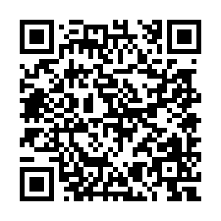 QR code for DM509