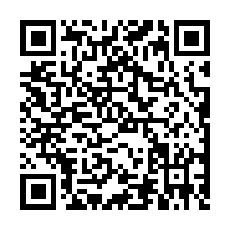 QR code for DN271