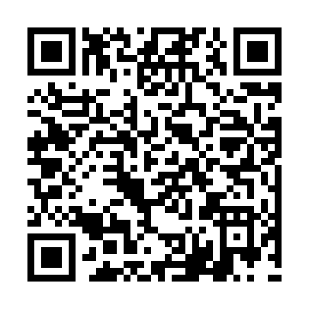 QR code for DN384