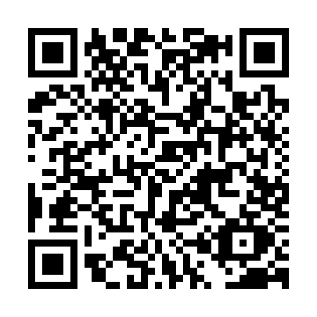 QR code for DP13
