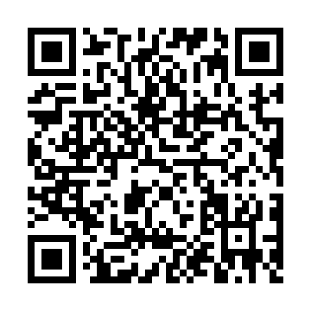 QR code for DP513
