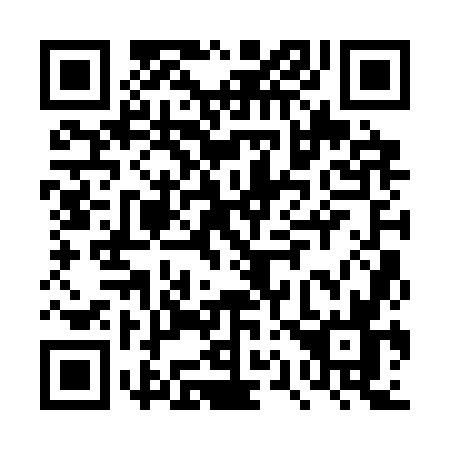 QR code for DQ13