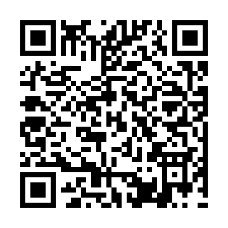 QR code for DQ333