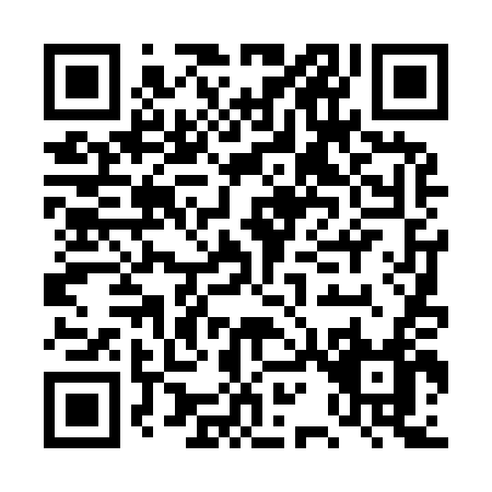 QR code for DQ494