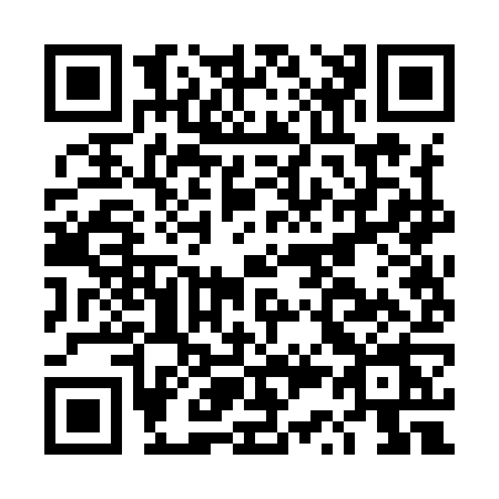 QR code for DS29