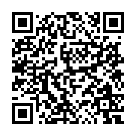 QR code for DS313