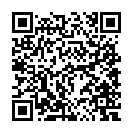 QR code for DS475