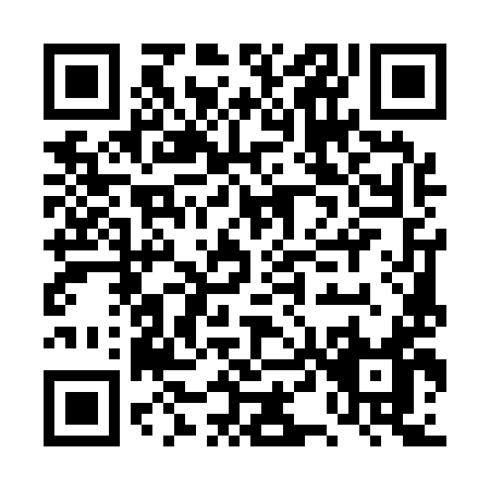 QR code for DT519