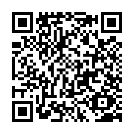 QR code for DT95
