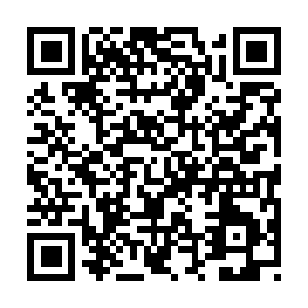 QR code for DT959