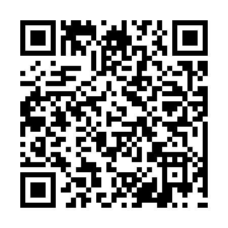 QR code for DX238