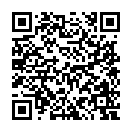 QR code for DY311