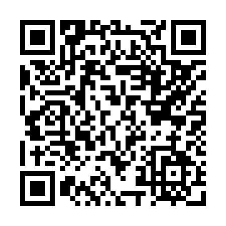 QR code for DZ381