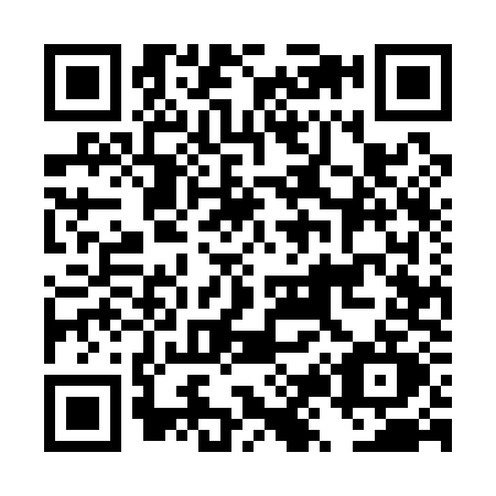 QR code for DZ51