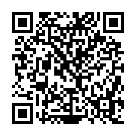 QR code for EP13