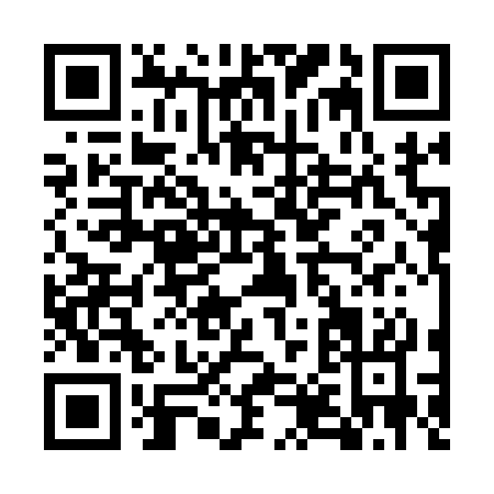 QR code for EX313