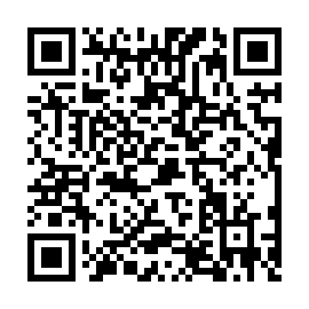 QR code for EX386