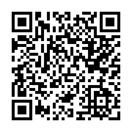 QR code for FF295