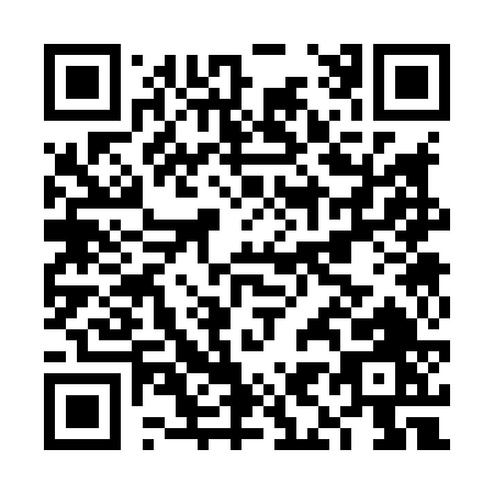 QR code for FI386
