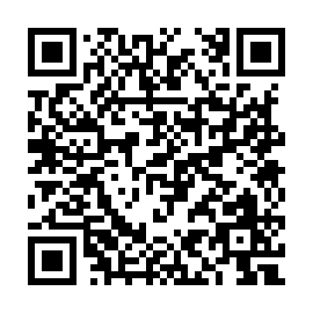 QR code for FI391