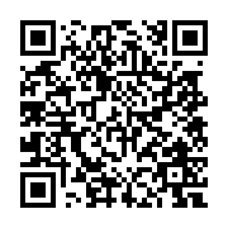 QR code for FJ207