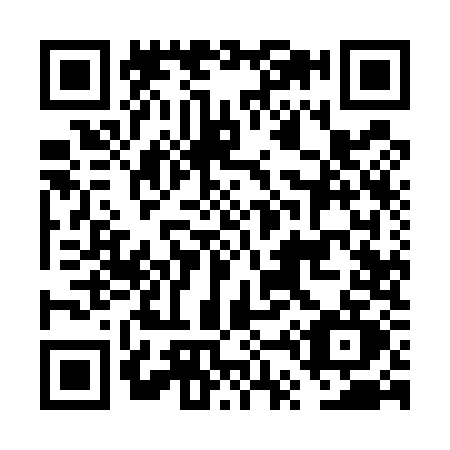 QR code for FT95