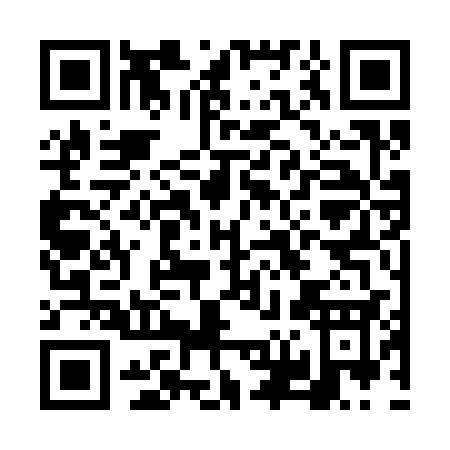 QR code for FV333