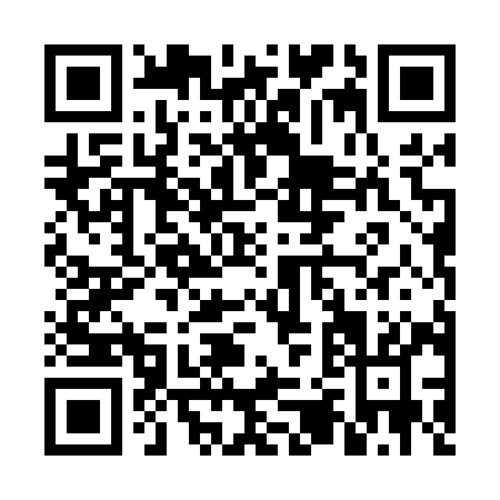 QR code for FZ409