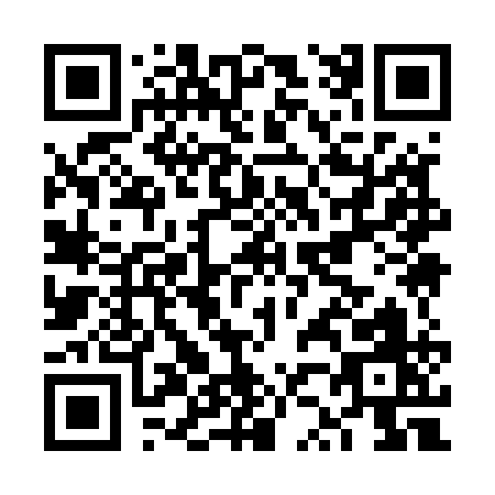 QR code for FZ951