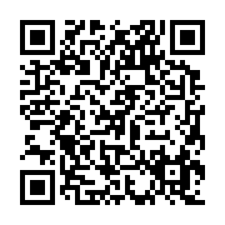 QR code for GB333