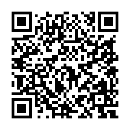 QR code for GI389