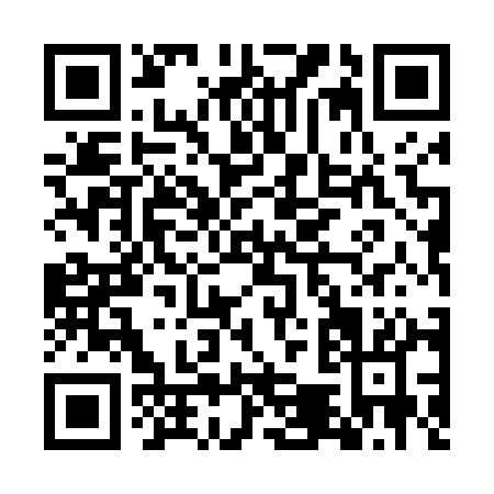 QR code for GM541