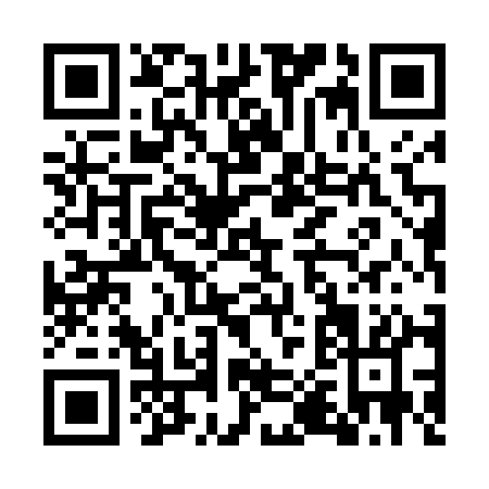QR code for GP541