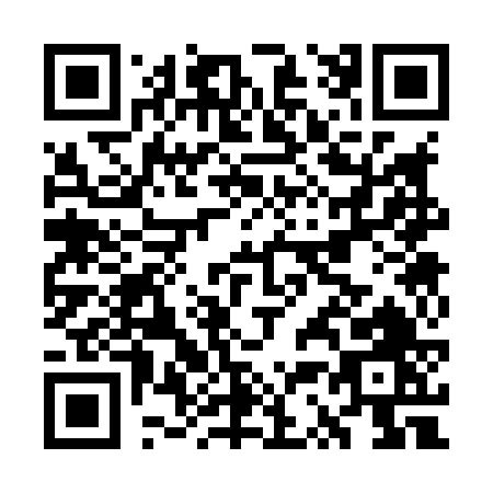 QR code for GS386