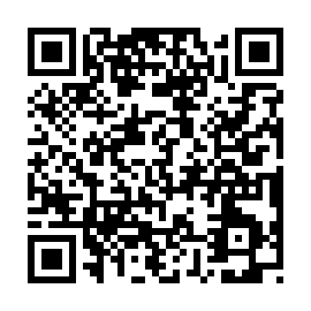 QR code for GX313