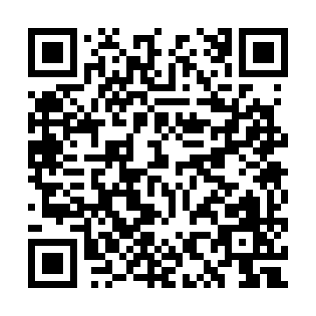QR code for GX339