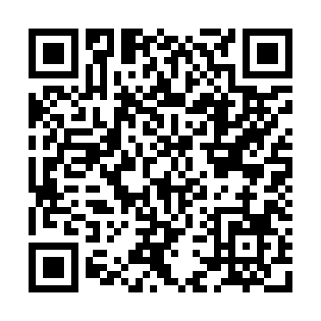 QR code for HG398