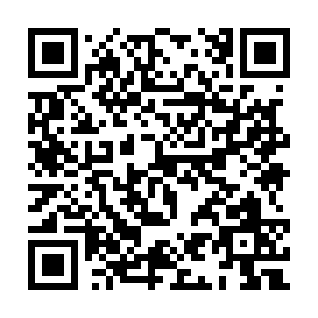 QR code for HI913