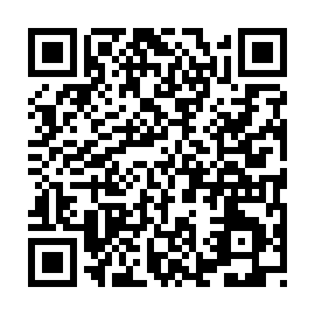 QR code for HK919