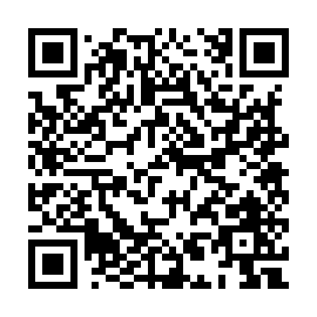 QR code for HL295