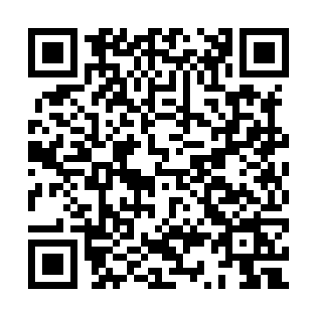 QR code for HS38