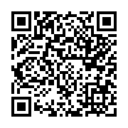 QR code for IC838