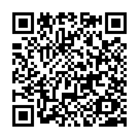 QR code for IC95