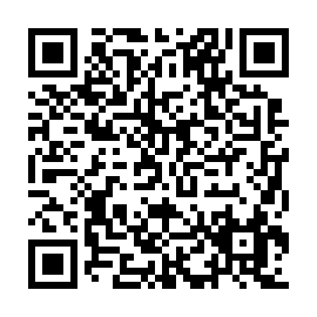 QR code for ID223