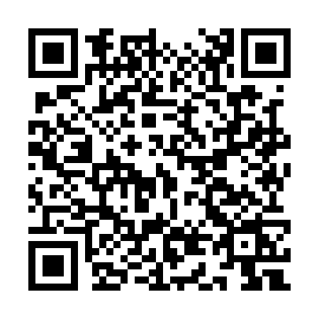 QR code for ID91