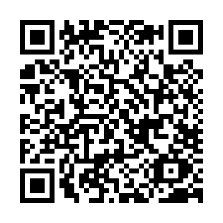 QR code for IE20