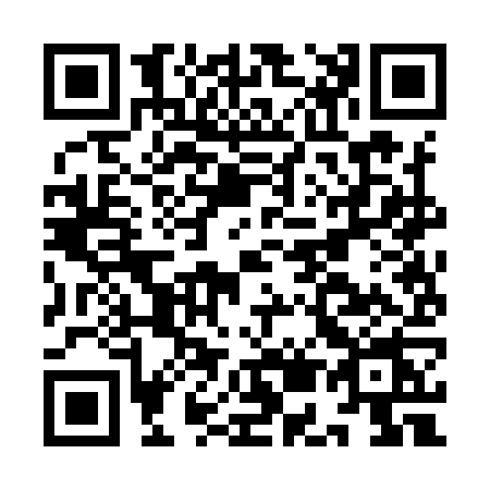 QR code for IE29